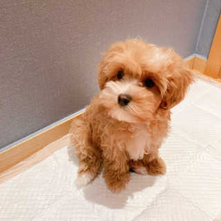 a_yom2님이 올린 리뷰 사진 1