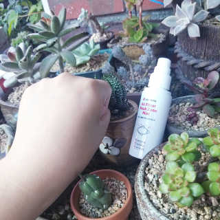 리더스코스메틱 리더스 올필터 마스크존 미스트 — 5점을 준 리뷰어가 2020년 9월 올린 사용 사진
