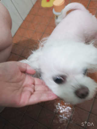두부님이 올린 리뷰 사진 3