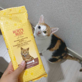 이째님이 올린 리뷰 사진 1