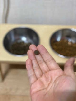 lucycat님이 올린 리뷰 사진 3