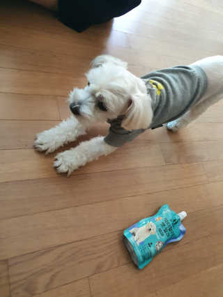 데이지맘님이 올린 리뷰 사진 1