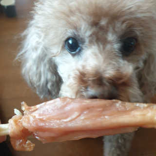 🐕삐딱이💖💖💖님이 올린 리뷰 사진 3