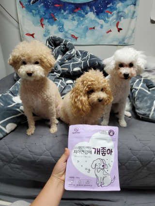 My Pet Care 천연단백질 치아건강에 개좋아 — 5점을 준 리뷰어가 2020년 11월 올린 사용 사진