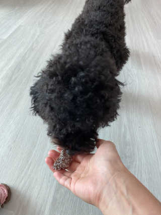 라봉마마님이 올린 리뷰 사진 3
