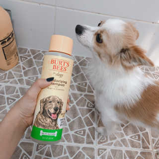 수진님이 올린 리뷰 사진 1