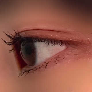 [블랙루즈] CG 퍼펙트 래쉬 카라 — 5점을 준 리뷰어가 2020년 4월 올린 사용 사진