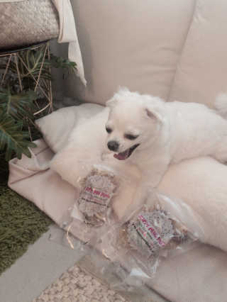 designerjoo님이 올린 리뷰 사진 2