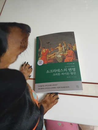 히이잇님이 올린 리뷰 사진 1