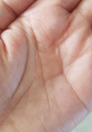 제라늄님이 올린 리뷰 사진 3