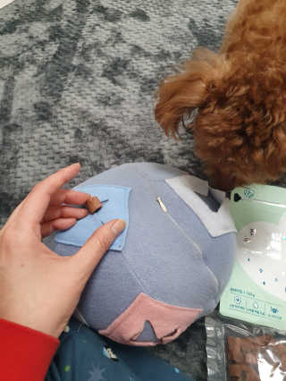 My Pet Care 천연단백질 눈건강에 개좋아 — 5점을 준 리뷰어가 2020년 11월 올린 사용 사진