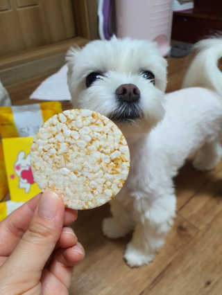 뽀오오옹님이 올린 리뷰 사진 3