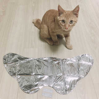 리더스코스메틱 리더스 프로 포커싱 풋 너리싱 마스크/5매 — 5점을 준 리뷰어가 2020년 8월 올린 사용 사진