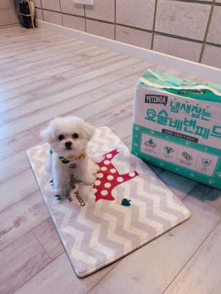 소미님이 올린 리뷰 사진 1