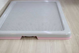 티아레님이 올린 리뷰 사진 2