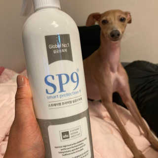 SP9 스프레이형 프리미엄 살균소독제 500ml+100ml — 5점을 준 리뷰어가 2020년 11월 올린 사용 사진