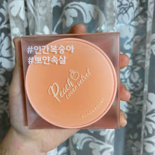 [블랙루즈] 피치 커버 벨벳 쿠션 2종 중 택1 — 5점을 준 리뷰어가 2020년 12월 올린 사용 사진