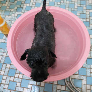 쓔리님이 올린 리뷰 사진 2