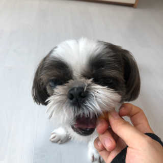 시우맘강콩님이 올린 리뷰 사진 1