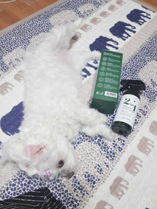 두부님이 올린 리뷰 사진 2