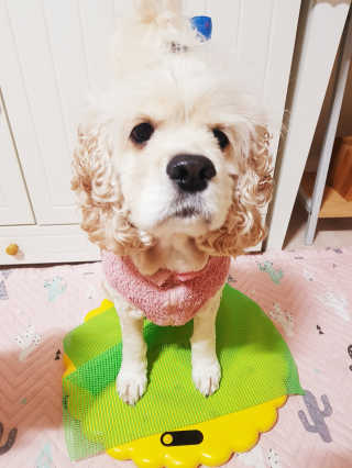 조소민님이 올린 리뷰 사진 3