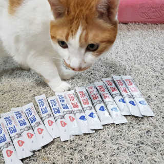 도로농농님이 올린 리뷰 사진 2