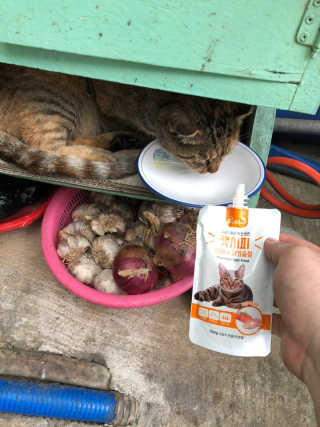 유영경님이 올린 리뷰 사진 2