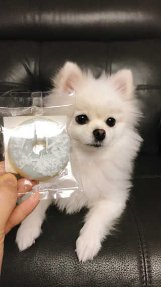 라움님이 올린 리뷰 사진 1