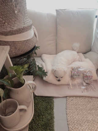 designerjoo님이 올린 리뷰 사진 3