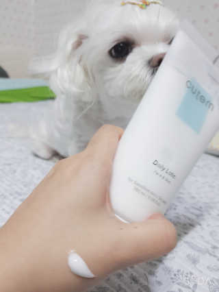 두부님이 올린 리뷰 사진 2