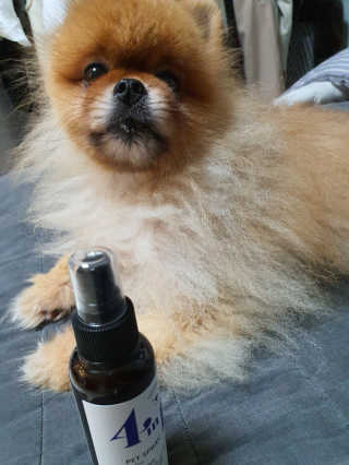 성유진님이 올린 리뷰 사진 2