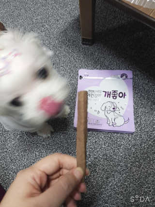 My Pet Care 천연단백질 치아건강에 개좋아 — 5점을 준 리뷰어가 2020년 11월 올린 사용 사진