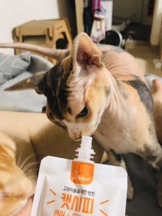 나린마마님이 올린 리뷰 사진 1