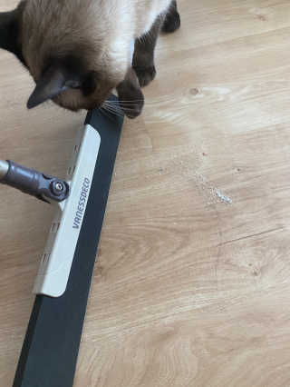 내리소님이 올린 리뷰 사진 3