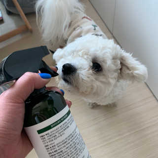 쪄니호잇님이 올린 리뷰 사진 3