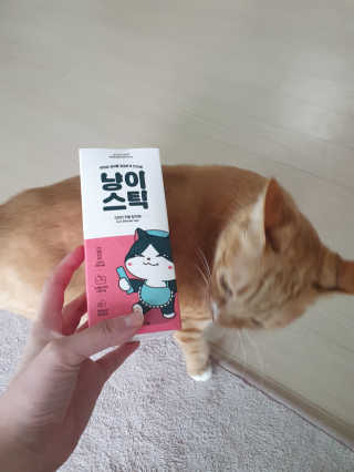 강미주님이 올린 리뷰 사진 2