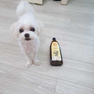 라임님이 올린 리뷰 사진 1