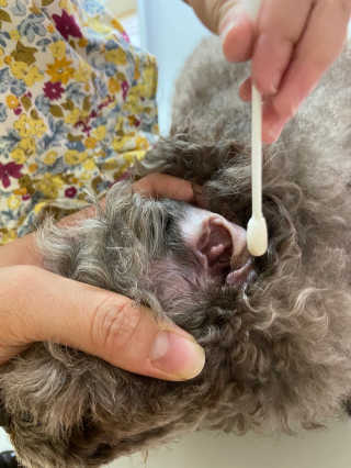 미달이님이 올린 리뷰 사진 3
