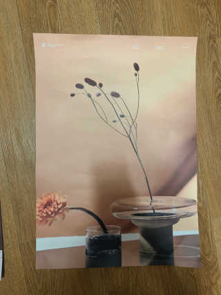 라운디드 코리아 [라운디드] 원더플라워 포스터 6종 중 2종 랜덤발송 — 3점을 준 리뷰어가 2020년 10월 올린 사용 사진