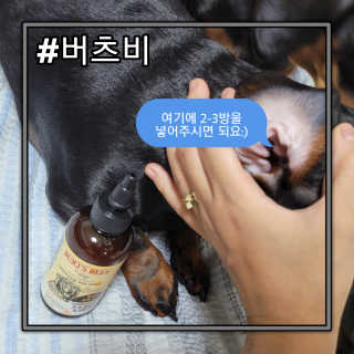제제님이 올린 리뷰 사진 3