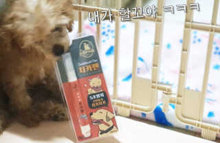 더펫원츠 [5초양치] 멍.치카펜 or 냥.치카펜 or 치카오일펜 — 5점을 준 리뷰어가 2020년 5월 올린 사용 사진