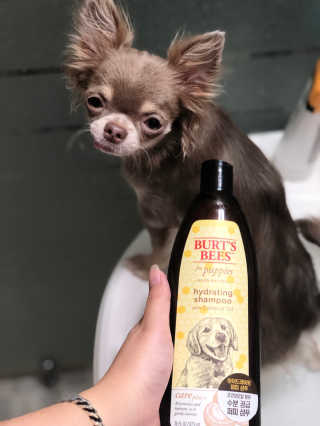 도토밤님이 올린 리뷰 사진 1