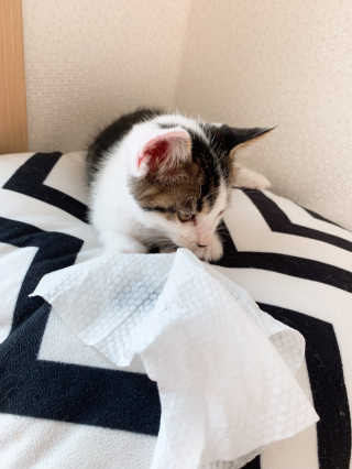 희공주님이 올린 리뷰 사진 2
