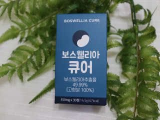 만두님이 올린 리뷰 사진 1