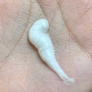 놈놈님이 올린 리뷰 사진 1