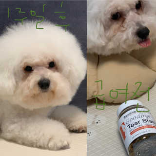 용용맹님이 올린 리뷰 사진 3