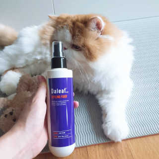 달리프 글램 스타일링 픽서 200ml — 4점을 준 리뷰어가 2020년 7월 올린 사용 사진
