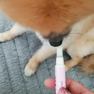 더펫원츠 [5초양치] 멍.치카펜 or 냥.치카펜 or 치카오일펜 — 5점을 준 리뷰어가 2020년 9월 올린 사용 사진
