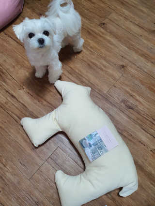 뽀오오옹님이 올린 리뷰 사진 3