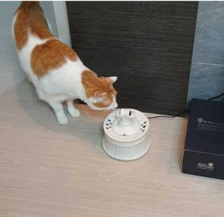 도로농농님이 올린 리뷰 사진 3